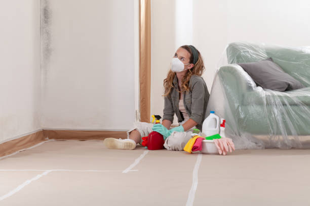 Reliable Black Mold Removal contractor in Bear Creek, NC by WQB Mold Removal